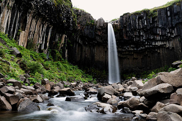 Slow shutter shot of waterfall cascading down a dramatic wall of hexagonal basalt columns in Vatnajökull National Park, Iceland. The dark lava formations resemble a cathedral organ, creating a striking contrast with the lush summer greenery and flowing water below.