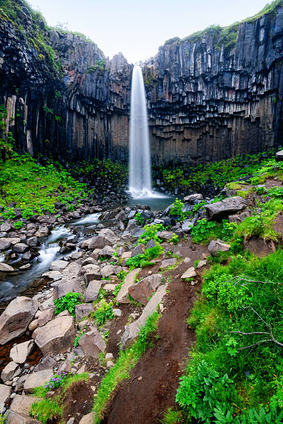 istock Svartifoss Waterfall and Its Black Basalt Cathedral 2214154058