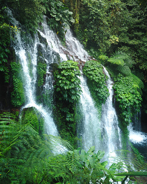 istock Lush Tropical Banyu Wana Amertha Waterfalls Surrounded by Jungle Greenery 2214156315