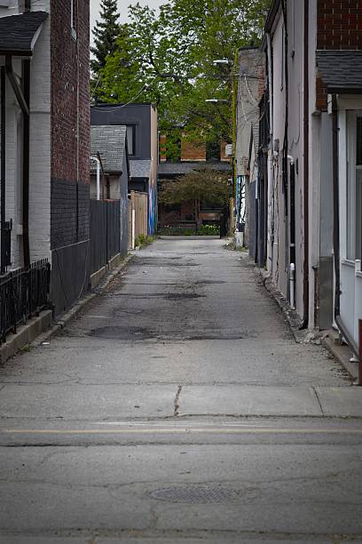 istock Narrow Urban Alleyway with Greenery 2214156883
