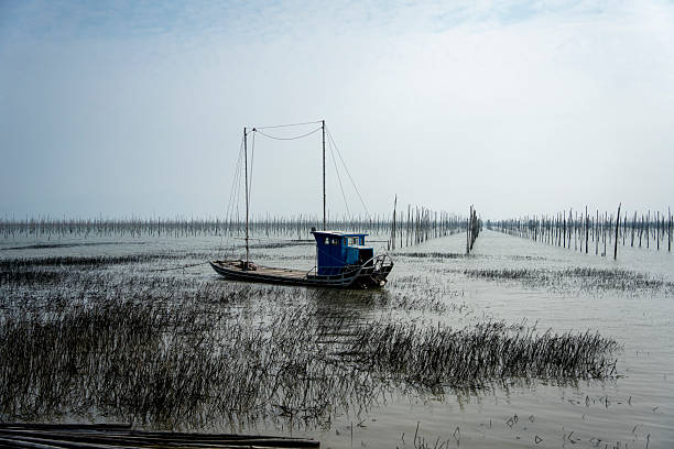 istock A serene fishing boat amidst a marshy landscape 2214157876
