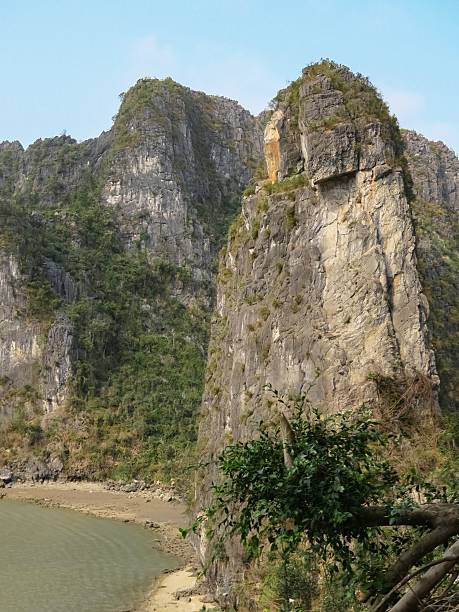 istock Limestone Karst Islets in Halong Bay 2214161453