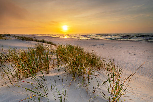istock Beautiful summer sunset over beach at Baltic sea 2214161727