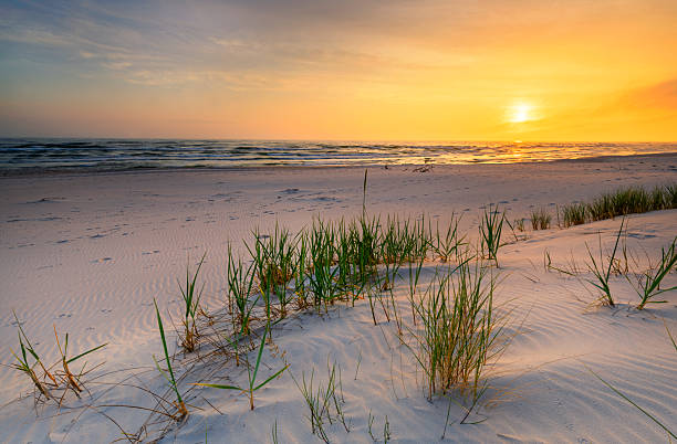 istock Beautiful summer sunset over beach at Baltic sea 2214161741