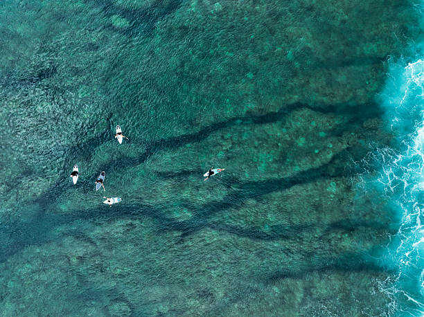 istock Surfers paddling over reef in lagoon 2214163595