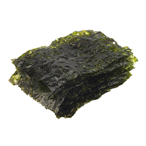 istock seaweed isolated  on white background 2214165539