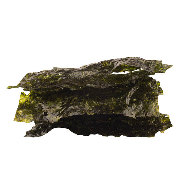 istock seaweed isolated  on white background 2214165540