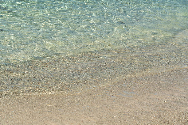 istock Clear shallow ocean water with shimmering sunlight reflections over fine coral sand 2214168968