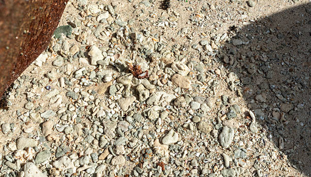 Beach sand texture with broken shells, coral fragments, and small stones on Seychelles island shore, showing natural rough surface and uneven ocean entry