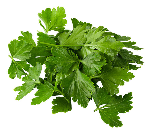 istock Bunch leaves parsley isolated over white background 2214170932