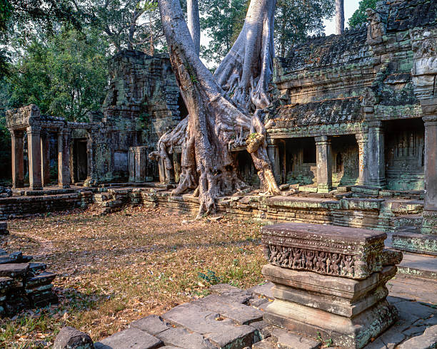 Preah Khanis located northeast of Angkor Thom and just west of the Jayatataka baray, with which it was associated. It was the centre of a substantial organisation, with almost 100,000 officials and servants. The temple is flat in design, with a basic plan of successive rectangular galleries around a Buddhist sanctuary complicated by Hindu satellite temples and numerous later additions. Like the nearby Ta Prohm, Preah Khan has been left largely unrestored, with numerous trees and other vegetation growing among the ruins.