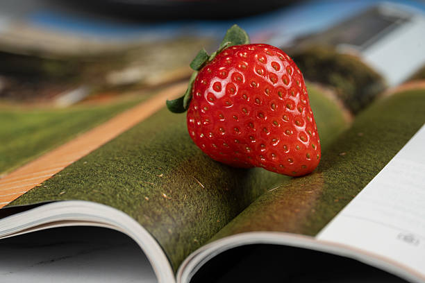 A strawberry resting on an open magazine