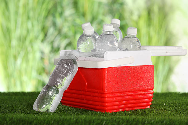 Many bottles of water in cooler box on artificial grass