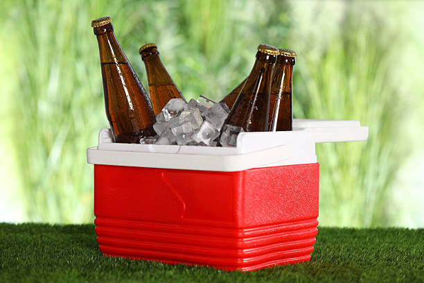 istock Many bottles of drinks in cooler box on artificial grass 2214183009
