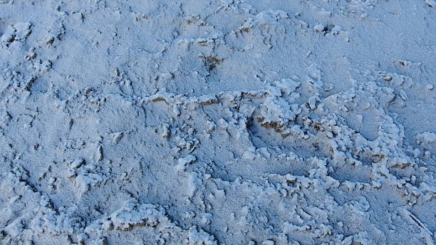 istock A close up of a snow covered ground. 2214184364