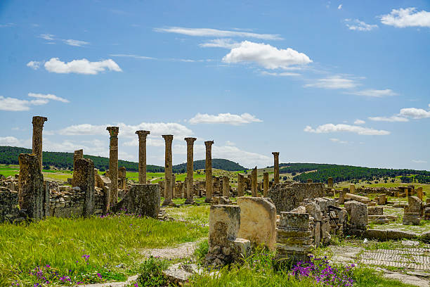 istock Roman ruins, Madaure, Souk Ahras, Algeria 2214185216