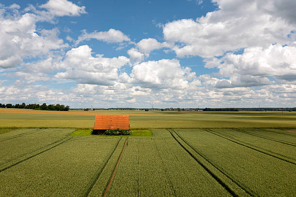 Aerial view of a red roof shed in spring rural landscape with green grain fields under blue sky with white clouds.