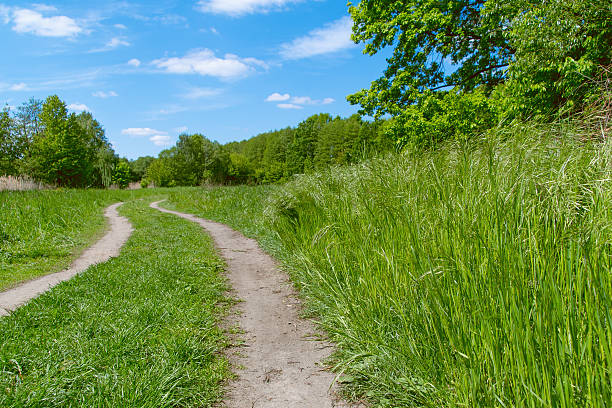 istock Scenic dirt pathway through lush green countryside on a sunny day 2214186816