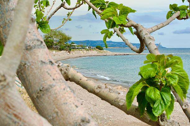 istock Scenic Beach View Framed by Vibrant Green Tree Branches in Summer 2214186867