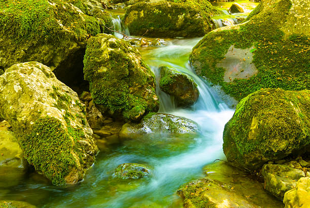 Autumn creek woodland with trees foliage rocks in forest mountain. Idyllic travel hiking landscape. Serbia