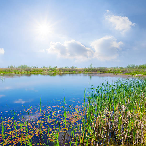 istock calm lake among prairie under a sparkle sun 2214190086