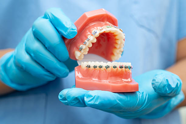 istock Asian dentist holding dental teeth model for learn about dentistry. 2214190320
