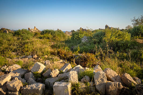 Unexcavated ruins buried by undergrowth at the ancient Roman city at Side in Antalya Province in Turkey (Turkiye).The remains of the city, on the shores of the Mediterranean Sea, cover a wide area and are a site of significant cultural and historical importance.