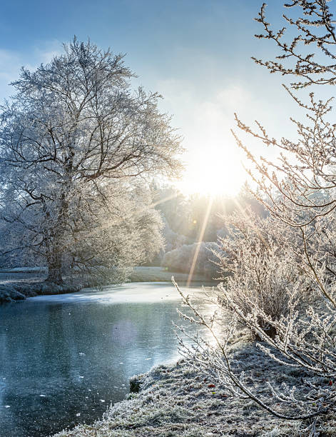 istock Winter Frosted Tree Branches above Frozen Lake. 2214194379