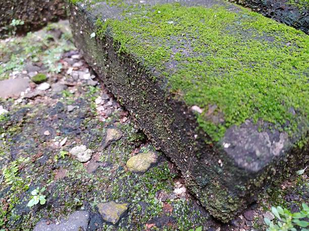istock The bricks look mossy and unusable, close up view 2214194609