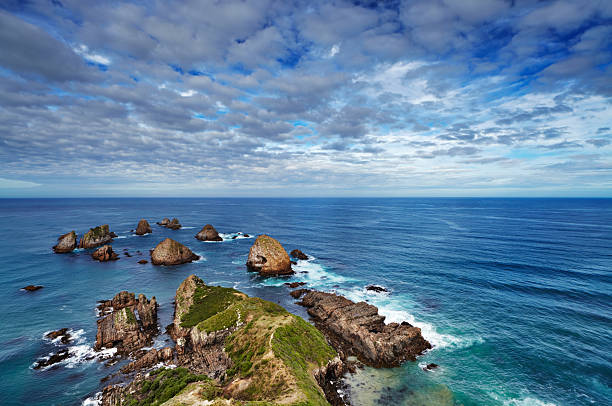 istock Nugget Point, New Zealand 2214201365