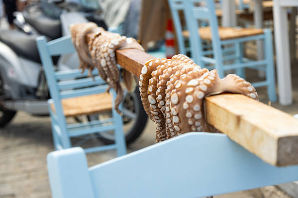 Drying octopuses in Naousa town, Paros island, Cyclades, Greece.