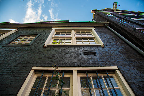 Upward view of Amsterdam building with sky and trees