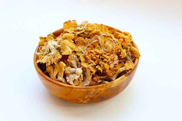 istock Splitgill mushroom or schizophyllum commune mushroom 2214205143