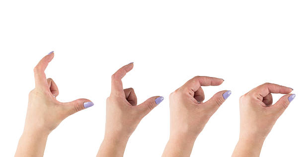istock A female hand, isolated on a white background, is shown in four different positions, each demonstrating a different grasping technique 2214214315