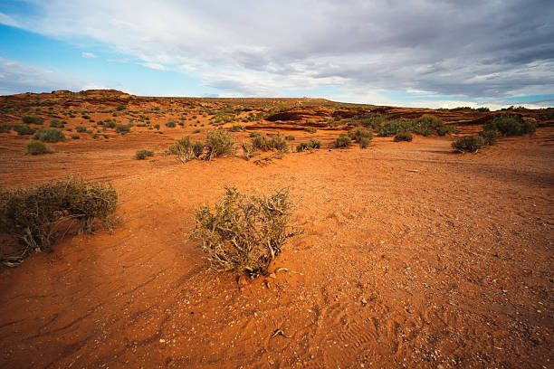 Nearly a thousand years ago natives inhabited the plains between the Painted Desert and the San Francisco Peaks of Arizona. In an area so dry it would seem impossible to live, they built pueblos, harvested rainwater, grew crops and raised families. Today the remnants of their villages dot the landscape. Wukoki, a modern Hopi word for \
