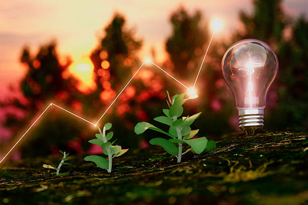 istock A light bulb is lit up in front of a tree 2214217743