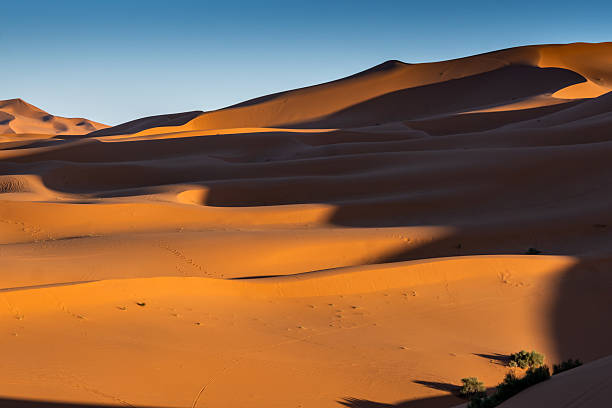 istock Golden Sand Dunes Under Clear Sky in Moroccan Sahara Desert 2214223708