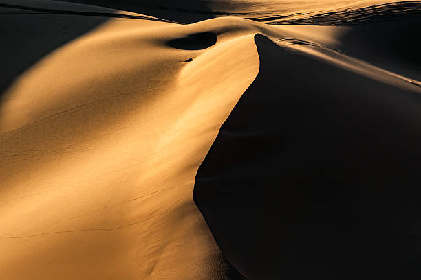 istock Rolling Sand Dunes Illuminated by Golden Sahara Sunlight 2214223804