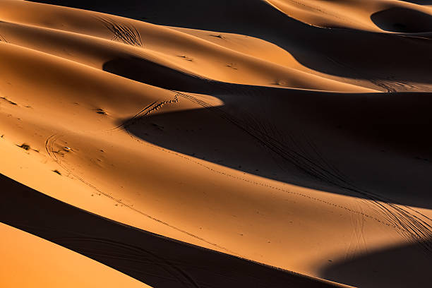 istock Rolling Sand Dunes Illuminated by Golden Sahara Sunlight 2214223828