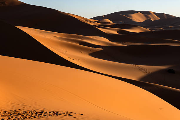 Golden sunlight creates striking contrasts on sculpted sand dunes in the Moroccan Sahara during spring, emphasizing the natural beauty and tranquility of the desert landscape.