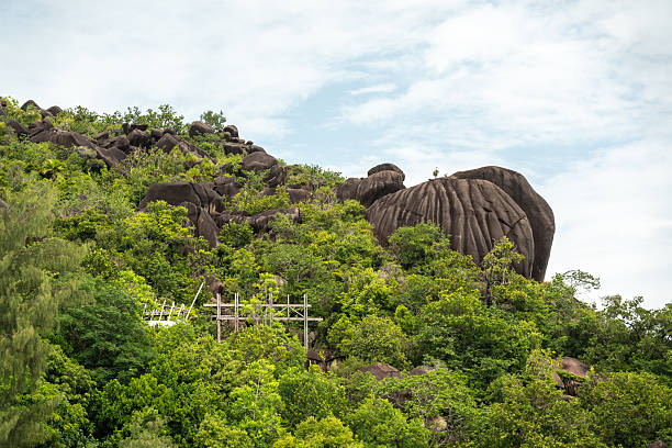 Massive granite rocks surrounded by lush tropical forest under a bright sky on a Seychelles island, ideal for nature, travel, adventure, exploration, environment, and landscape themes