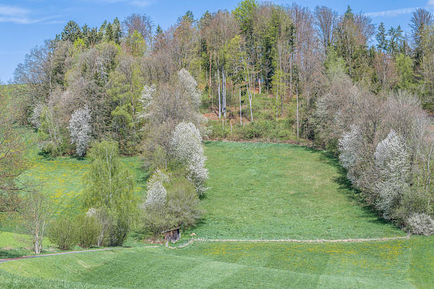 istock Fields and meadows in the Bavarian Forest, Germany 2214225293