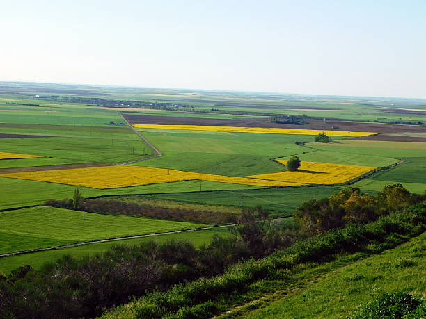 istock Expansive green fields and rural landscape under a clear blue sky 2214228393