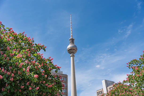 istock Berlin TV Tower among blossoming trees. 2214241612