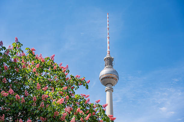istock Berlin TV Tower among blossoming trees. 2214241774