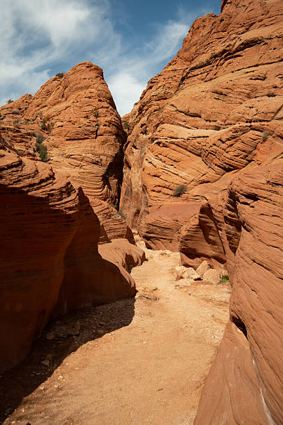 istock Buckskin Gulch Trail, Utah 2214242256