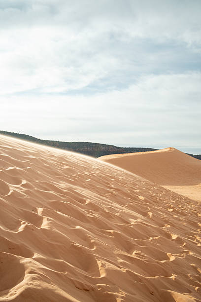 Sand Dunes in Coral Pink Sand Dunes.