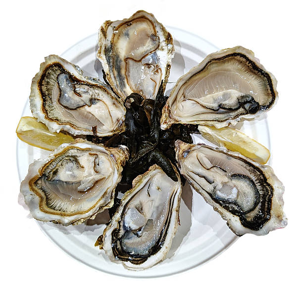 istock Six fresh oysters on a white plate, isolated background. 2214242347