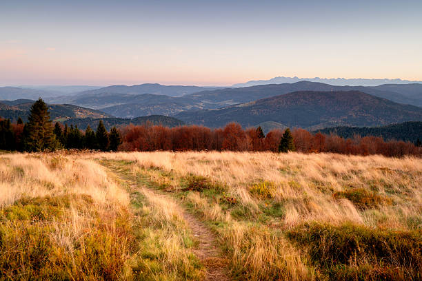 Country road through fields in the Beskids, Stumorgova glade, view of the Tatra Mountains at sunset.