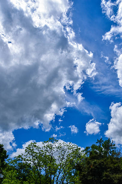 istock Cumulus clouds in a blue sky on a warm Spring day 2214247283